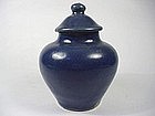 Blue Ground Jar ( Ming Dynasty)