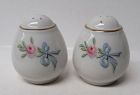 Hall China WILDFIRE 2 1/4 In TEARDROP SALT and PEPPER Shakers, Pair
