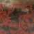 detail 5