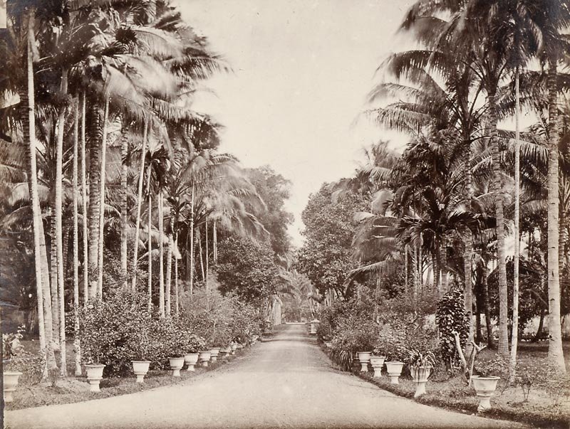 4 Historical Photos from Java, Batavia, 19th C.