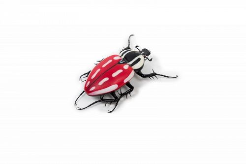 Red insect Goliath beetle Murano glass