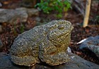 Stone Granite Toad Frog Kaeru Meiji ca. 1900