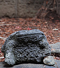 Stone Frog Toad Kaeru Jizo Buddha Lantern Meiji 19 c.