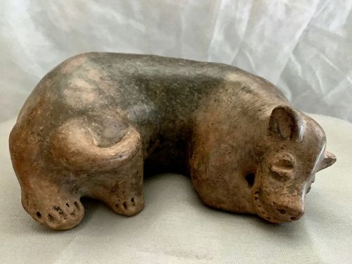 Pre -Columbian Sleeping Colima Dog