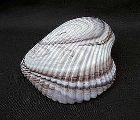 English press moulded and marbled big glass shell, Victorian