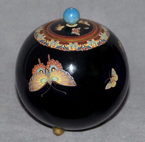 Beautiful Hayashi Style Cloisonne Enamel Jar with Butterflies
