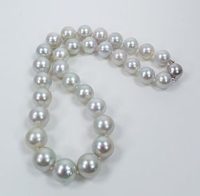 Large 14k gold genuine South Sea pearl bead necklace