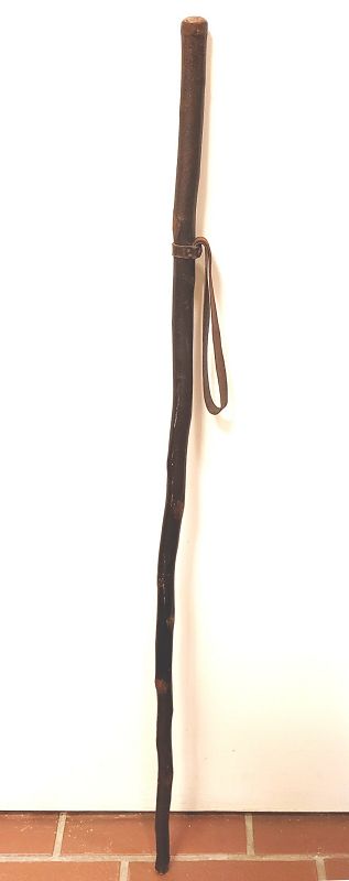 Classic Folk Art Walking Stick Cane with Leather Strap