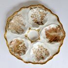 Antique French Limoges seaweed porcelain oyster plate