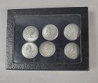 6 English Elizabeth II silver livery buttons