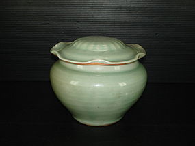Rare Song - Yuan longquan celadon large jar with cover