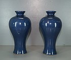 Pair of Ming dynasty blue ground meiping vase