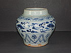 Yuan dynasty blue and white big jar
