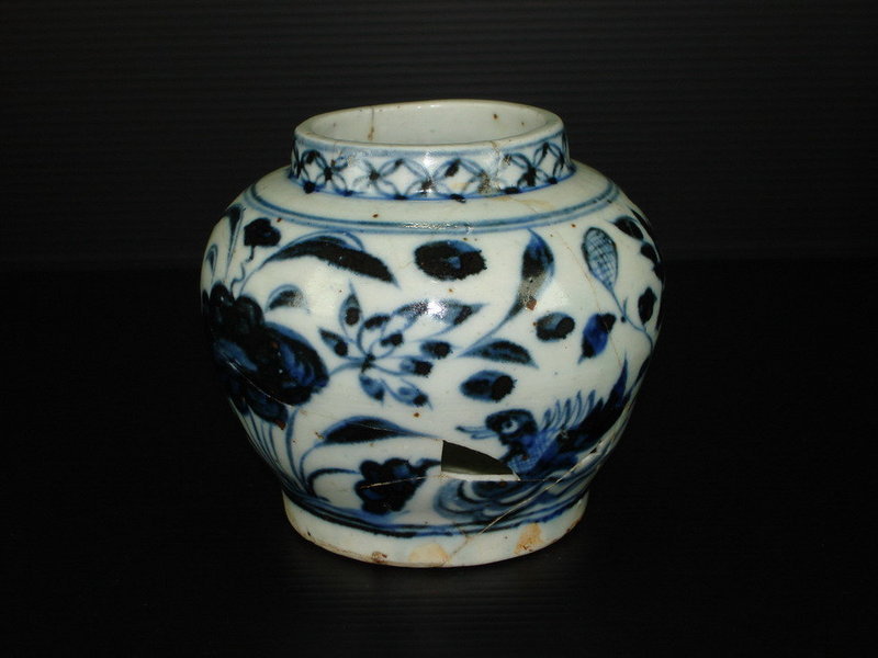 Rare sample of Yuan blue and white jar with ducks motif