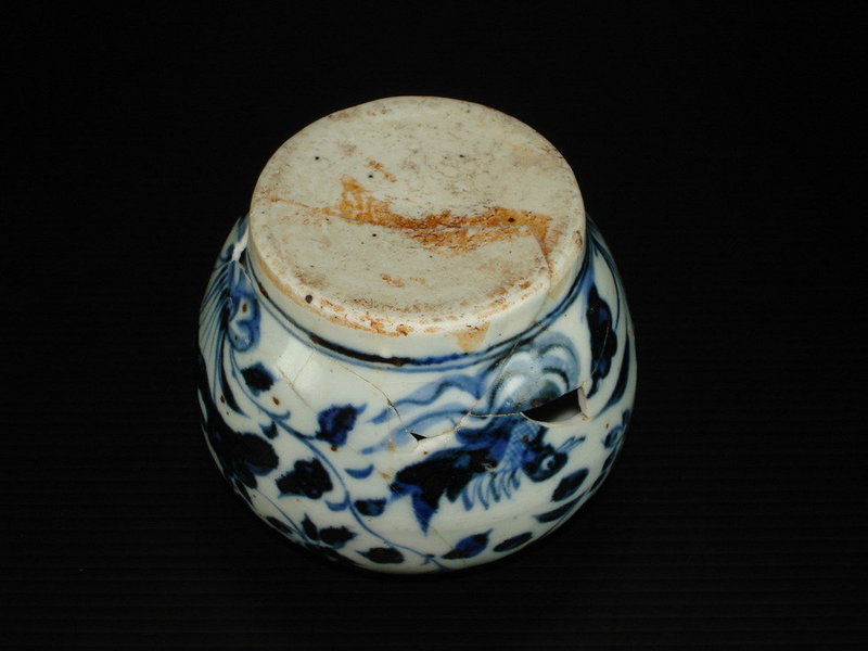 Rare sample of Yuan blue and white jar with ducks motif