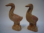 Pair of Tang Pottery Geese