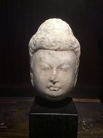 Tang Dynasty Marble Buddha Head
