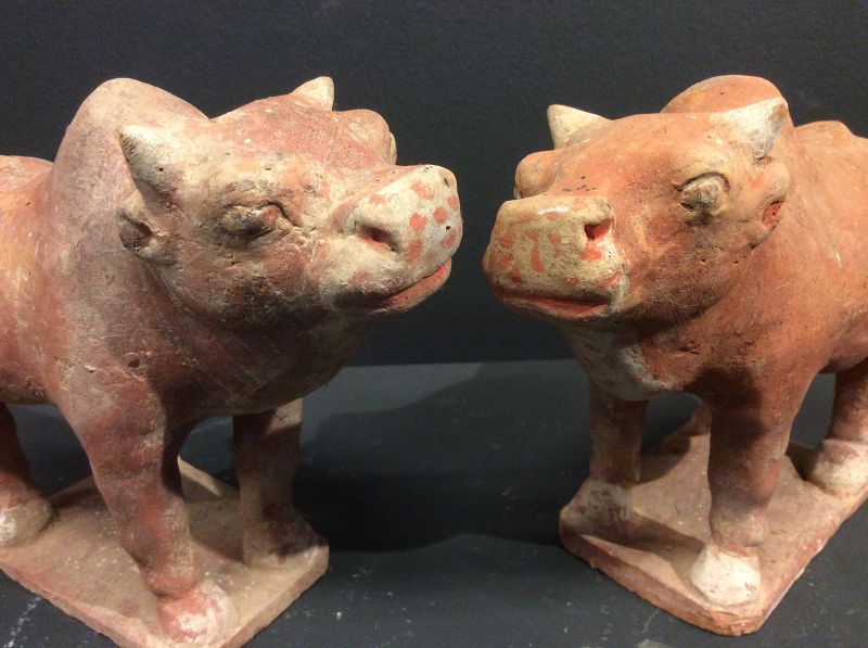 Pair of Han Dynasty Oxen with TL test