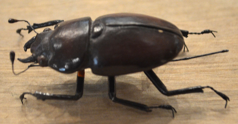 Fine Japanese Okimono of an Articulated Bronze Beetle