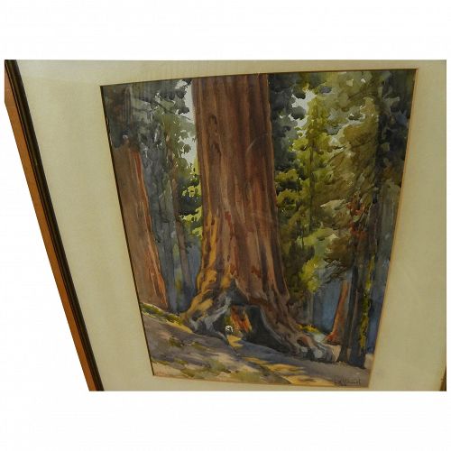 California vintage plein air art watercolor painting of famous giant sequoia "Tunnel Tree" signed J. M. Stewart