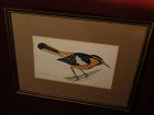 WILLIAM JOSEPH SCHALDACH (1896-1982) American well listed wildlife art watercolor of bird