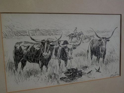 Southwest art signed ink drawing of longhorn cattle possibly New Mexico listed artist