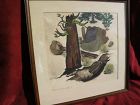 California art 1951 watercolor forest landscape painting by Ulianoff