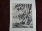 LUIGI LUCIONI (1900-1988) important American printmaker pencil signed etching print