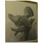 German 1928 amazingly detailed sporting art watercolor drawing of game bird signed Petzoldt