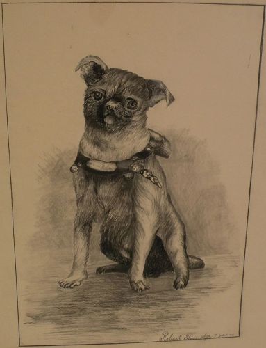 Dog art original English black ink drawing of a pug dated 1894
