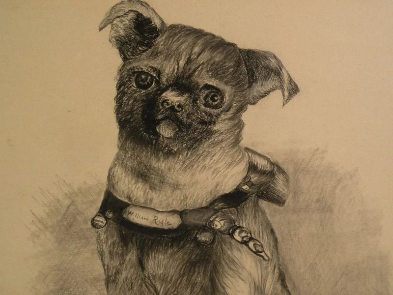 Original Pen and Ink Dog by Artist B - 14