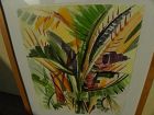 California colorful watercolor painting bird of paradise