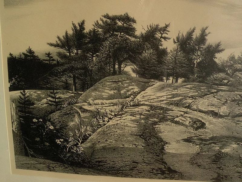 STOW WENGENROTH (1905-1978) pencil signed lithograph print &quot;Woodland Ledge&quot; by well known American artist‏