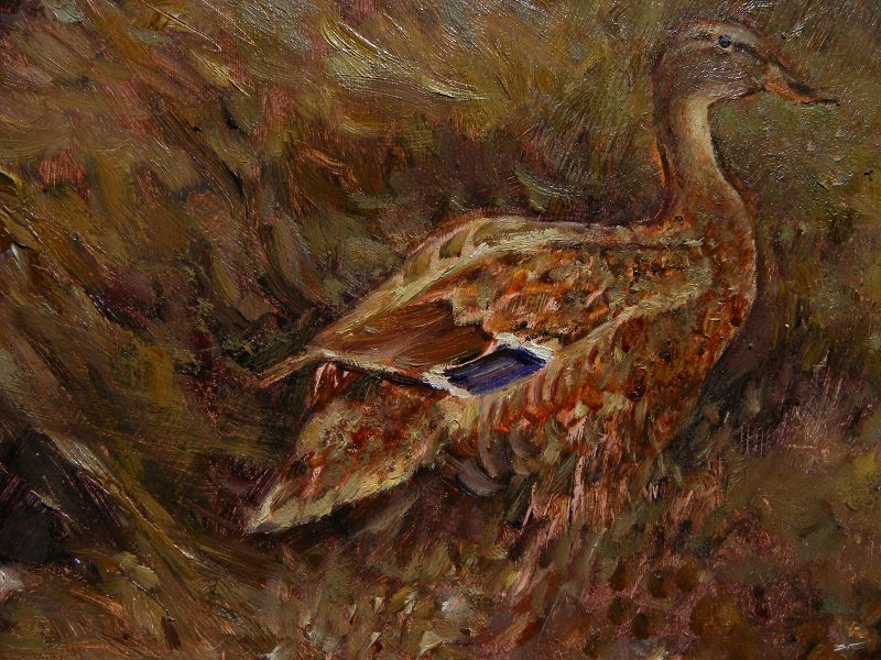 S. SCOTT ZUCKERMAN (1951-) oil painting of duck in autumn grass by noted American wildlife and sporting artist
