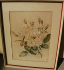 Signed watercolor painting of roses dated 1907