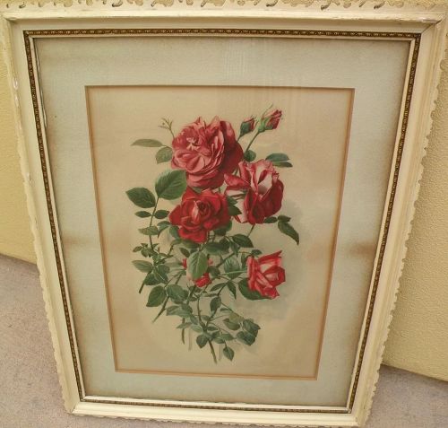 Antique print of red roses in shabby chic style