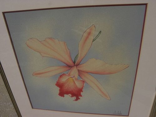 Orchid flower illustration very detailed signed Childs