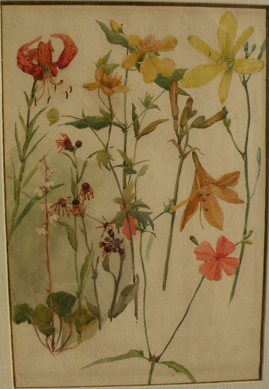 Original botanical art PAIR 1907 watercolor paintings of flowers