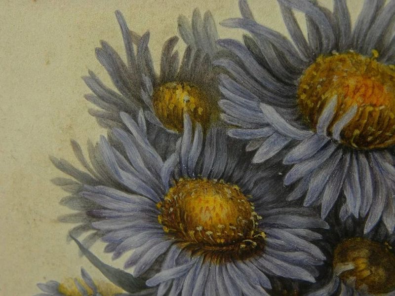 Botanical art amazingly detailed original watercolor painting of wildflowers