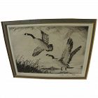 CHURCHILL ETTINGER (1903-1984) pencil signed etching of water fowl rising from marsh