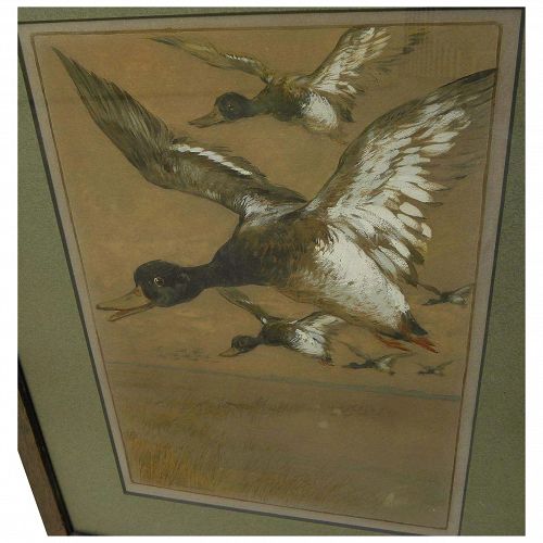 WILLIAM SCHMEDTGEN (1862-1936) watercolor painting of flying ducks by noted American illustrator artist