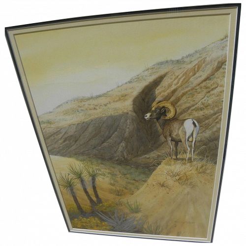 Wildlife art fine contemporary watercolor of desert bighorn sheep by artist Bill Roach