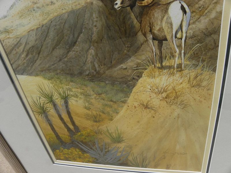 Wildlife art fine contemporary watercolor of desert bighorn sheep by artist Bill Roach