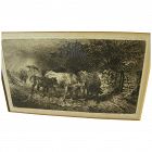 PETER MORAN (1841-1914) etching of herded cattle in storm "Showery Weather" 1889