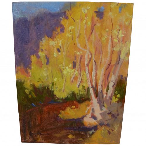 Impressionist colorful contemporary Southwest landscape painting signed
