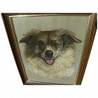 Dog art pastel signed portrait drawing of border collie or Australian Sheepdog dated 1979