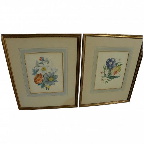 Mid 19th century botanical still life watercolor paintings **PAIR**