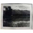STEPHEN H. WILLARD (1894-1966) black and photograph of meadow landscape by noted California artist and photographer