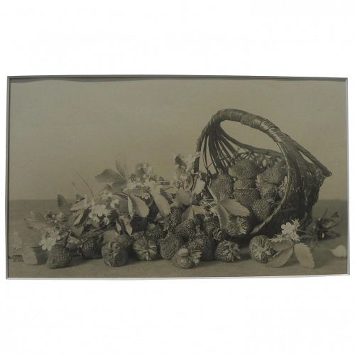 Circa 1900 original still life photograph of strawberries and basket from collection of Charlton Heston and wife Lydia