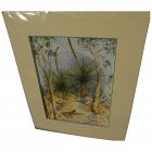 Signed contemporary watercolor painting of arid landscape with lizard and eucalyptus likely Australian